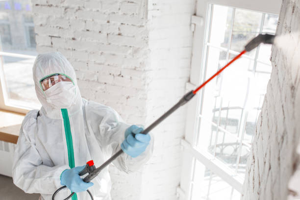 Why You Should Choose Our Mold Remediation Services in Williamsport, IN